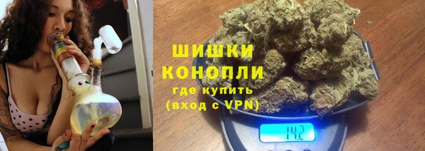 молекула духа Новодвинск