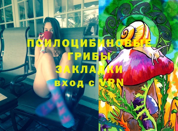 молекула духа Новодвинск