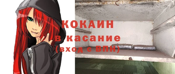 молекула духа Новодвинск