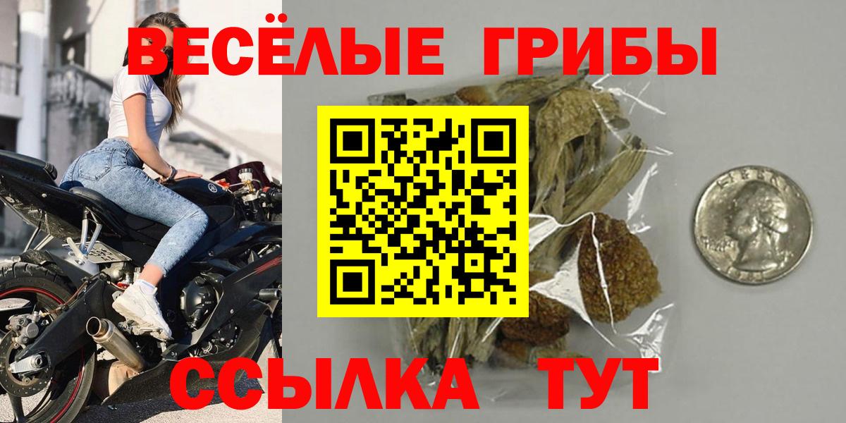 Псилоцибиновые грибы Psilocybe Майский
