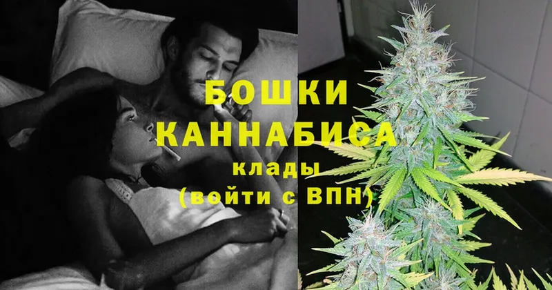 купить наркотик  Майский  hydra   Бошки Шишки OG Kush 